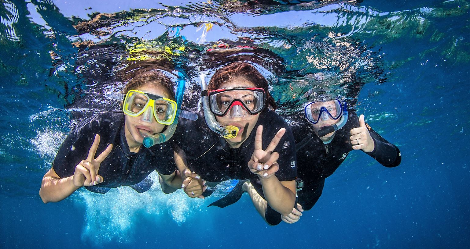 Coral Reefs